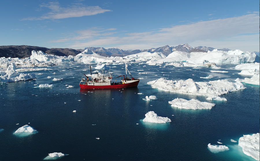 Research vessel amongst icebergs off the coast of Greenland